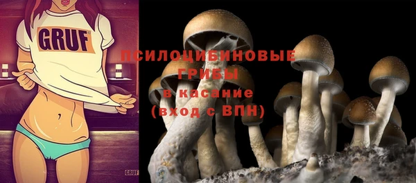 твердый Алзамай